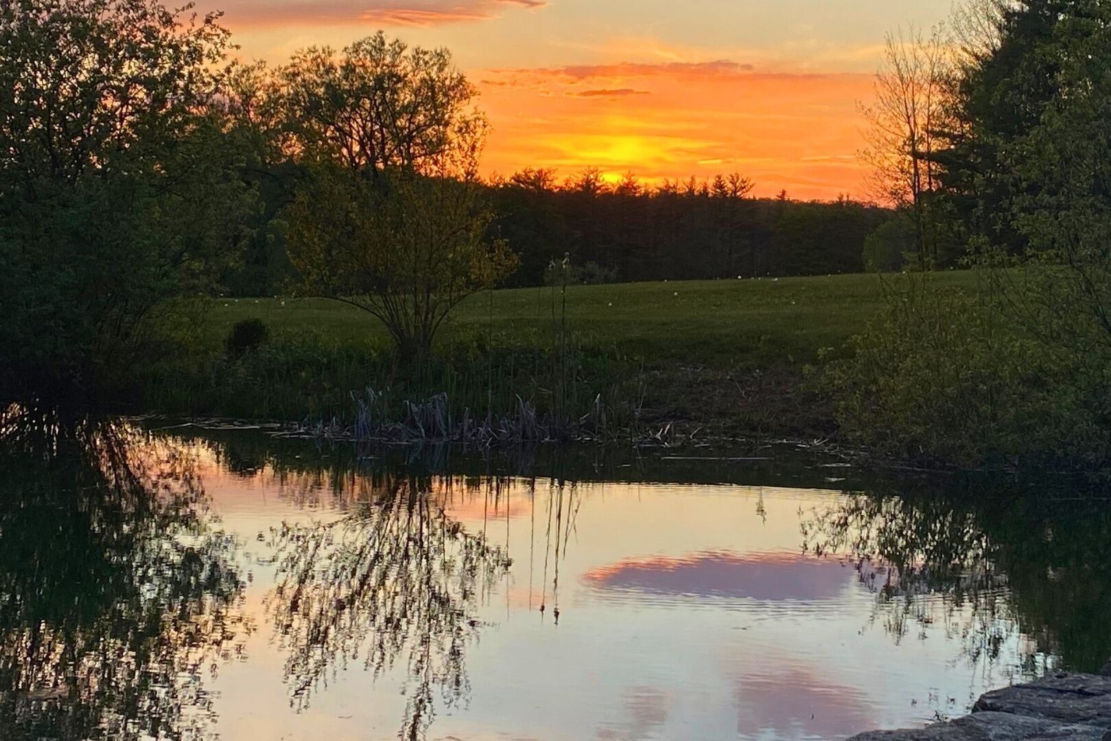 Wild Trails spring pond sunset