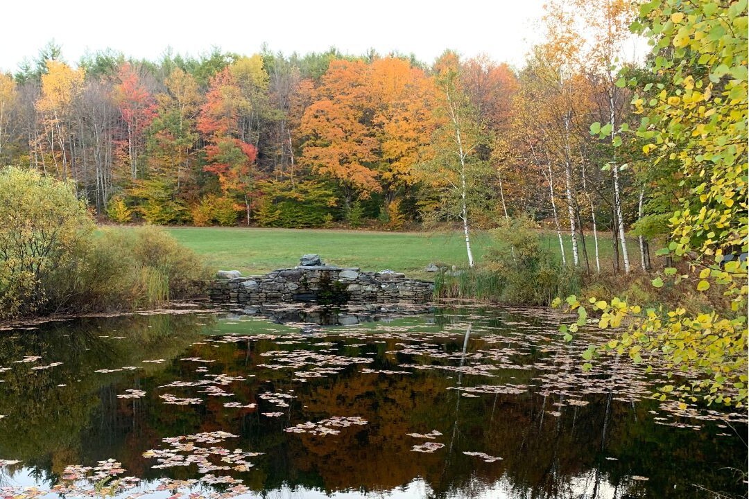 upper pond in autumn