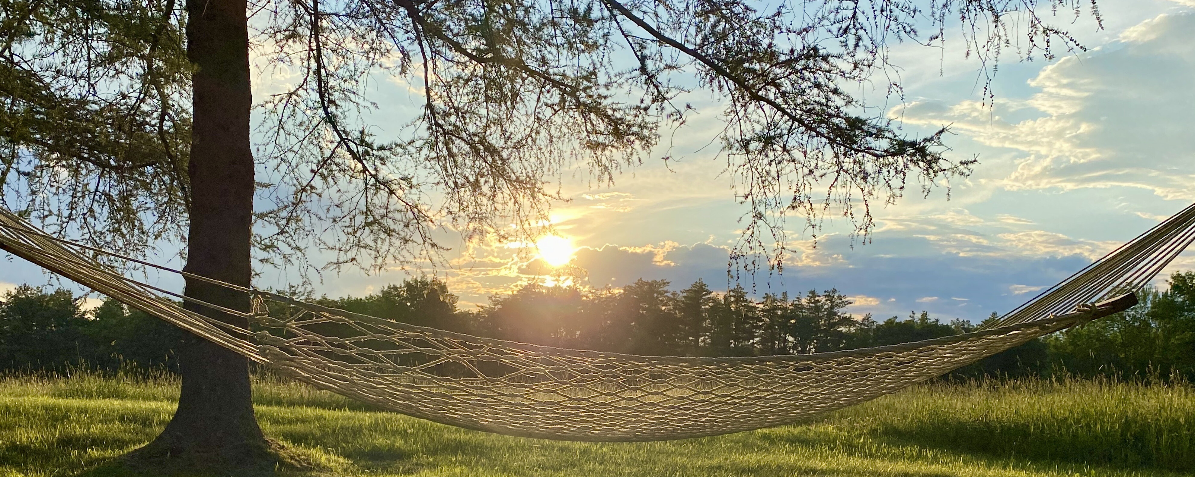 hammock and sunset